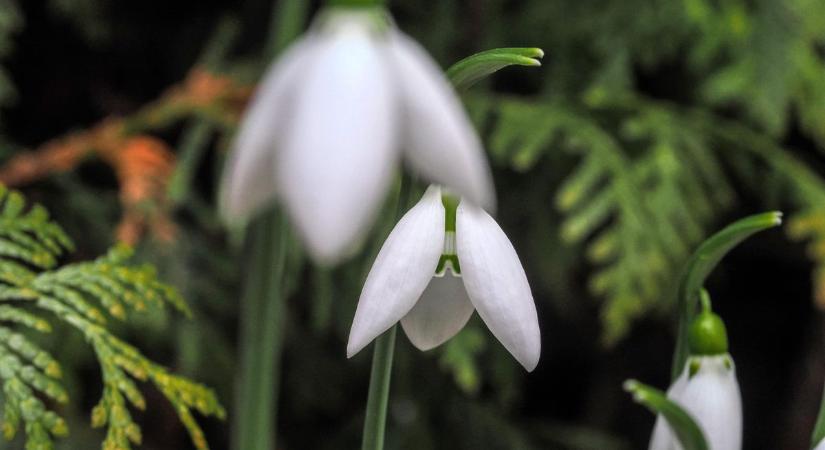 Hűvös reggel, felhős nap: így alakul a szombati időjárás