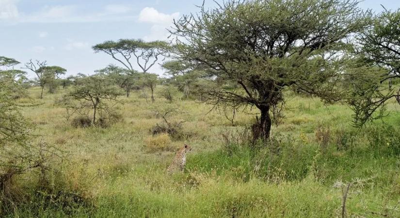 Óriásit tévedtek a kutatók: ősi szöveg cáfolta meg a tudományos elméletet