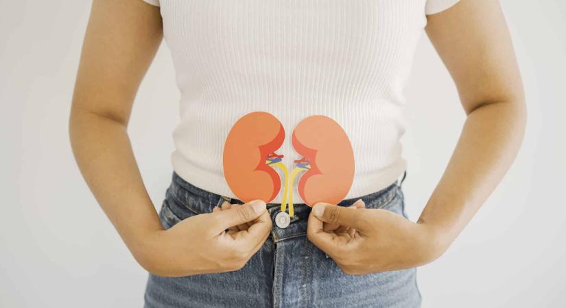 Így nyírod ki lassan a veséd: erre figyelmeztet a Semmelweis Egyetem
