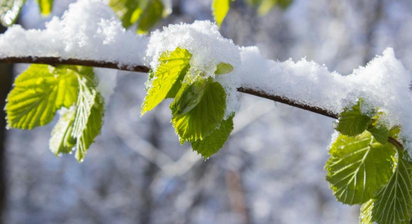Alig búcsúztunk el tőle, máris visszatér: hatalmas meglepetést tartogat az időjárás