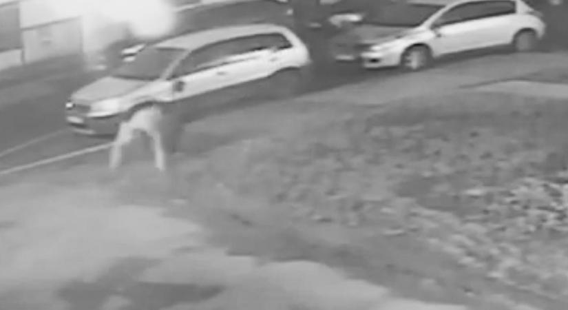 Térfigyelő rögzítette, ahogy egy nő teljesen készen harcolt egy autóval Pécsett