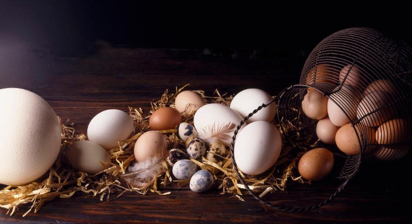Eddig a többség rosszul csinálta – így kell tárolni a tojást