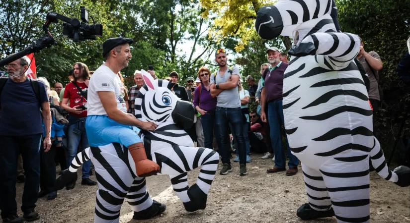 Vádat emeltek a Pécs Pride zebrajelmezes felvonulójára támadó férfi ellen