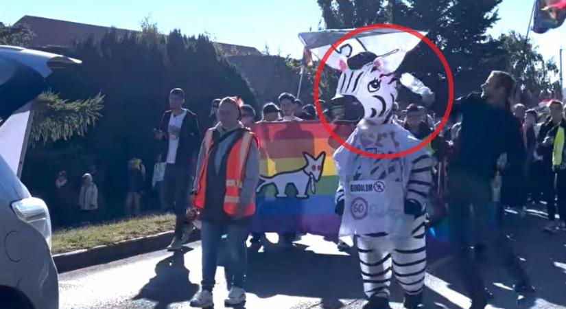 Vádat emeltek a férfi ellen, aki a Pécsi Pride-on támadt meg egy zebrajelmezes nőt