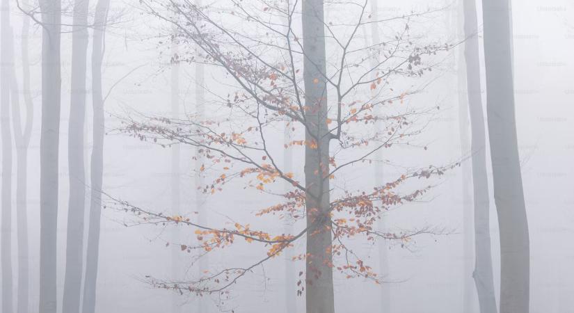 Ködre és jegesedésre kell számítani székelyföldi megyében is