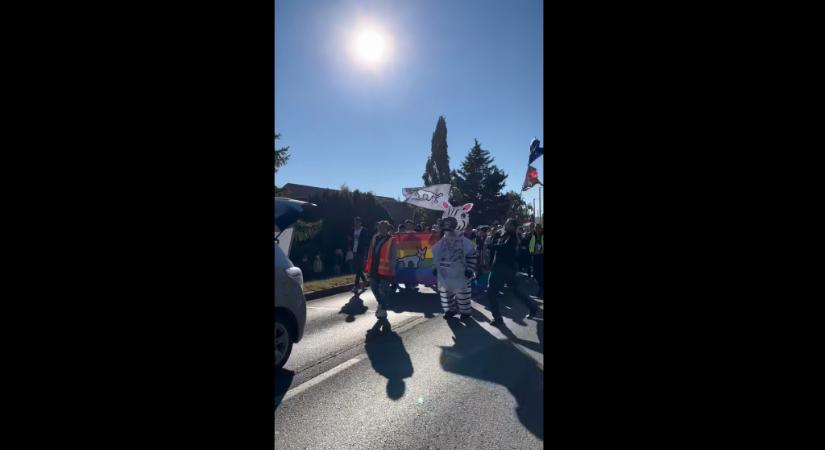 Vádat emeltek a férfi ellen, aki a Pécs Pride zebrajelmezes felvonulójára támadt