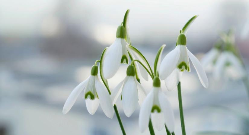 Borult, esős szombatra ébredünk, nyugaton 10 fok is lehet