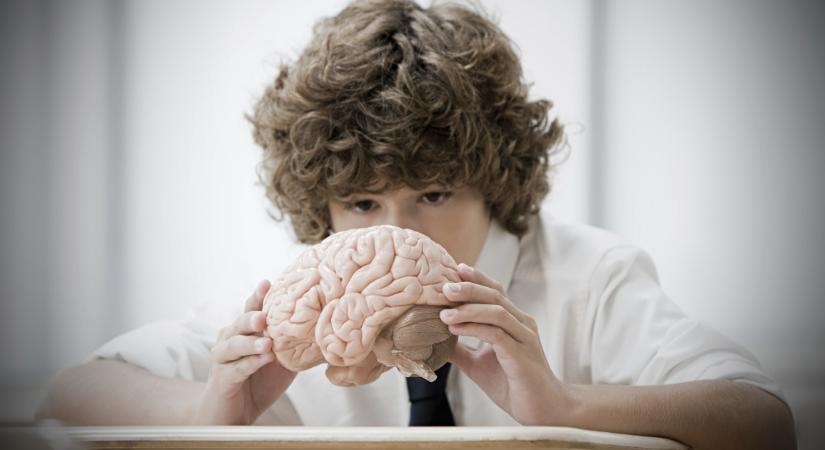 5 dolog, ami segíti a gyermekek egészséges agyi fejlődését: az idegsebész tanácsai