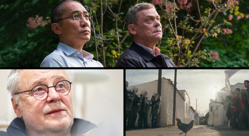 24/7: Egy csirke, egy fa és egy színházigazgató