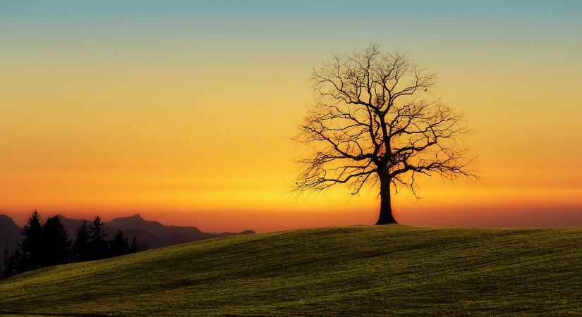 KAP ST AKG határidők