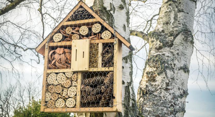 Közel a határidő: ezt már csak február 28-ig intézhetik el a magyarok