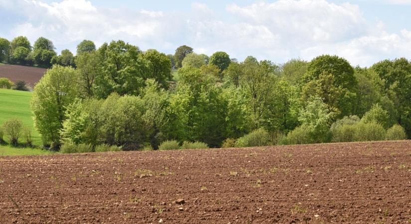 Agrárjog gazdáknak – Agrárjogi szabályok változásai