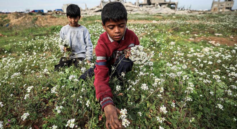 Az ingatlanfejlesztő Trump fantáziájában a totális romhalmaz Gáza már turistaparadicsom