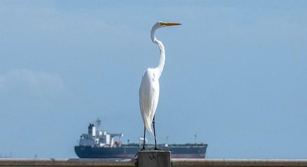 India kétmillió hordó venezuelai olajat vásárolt