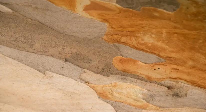 Feng Shui 2026: Mely színek hoznak szerencsét a Tűz Ló évében?