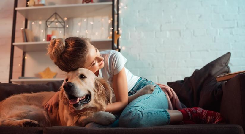 Így hat a tinikre, ha kutyájuk van – a tudomány szerint