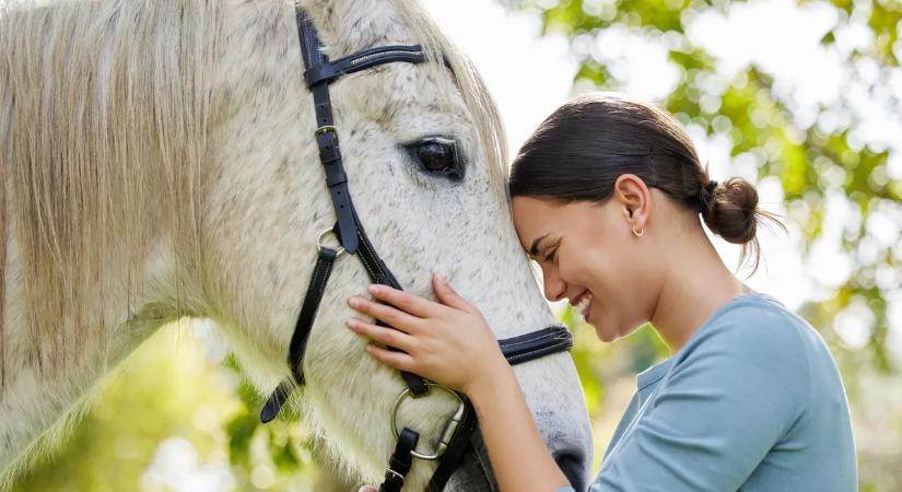 Retró kvíz – Magyar lovak, ménesek: 5 egyszerű kérdés, amire az emberek csupán 1 százaléka tudja a választ