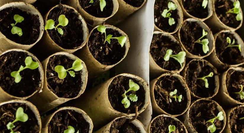 Gyűjtsd össze a vécépapír-gurigát, eszméletlen, mire jó