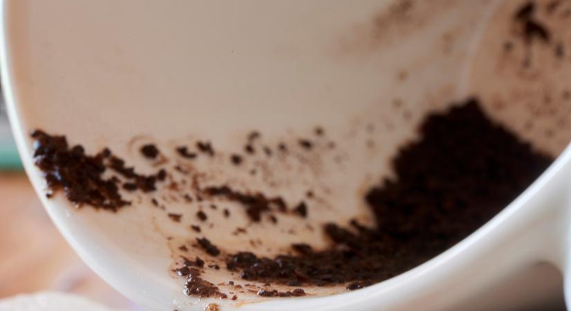 Két kanál kávézacc a WC-be: ez az új háztartási trükk