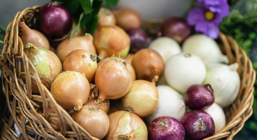 A vöröshagyma, a lilahagyma vagy a fehér hagyma a legegészségesebb?