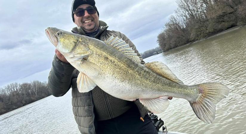 Nézze meg Ön is! Olyan süllő bukkant fel a Tisza-tónál, amitől eláll a lélegzete
