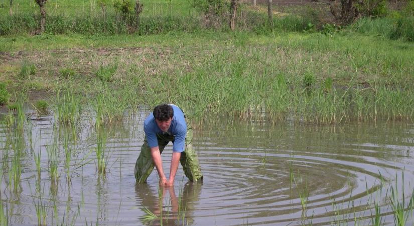 Balaton menti belvízgondok: Siófokon és Zamárdiban utcasorokba tört be a víz