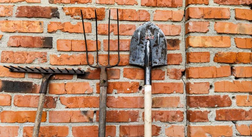 Itt hibázik a legtöbb kertész, ezt a munkát már februárban el kell végezni az udvaron