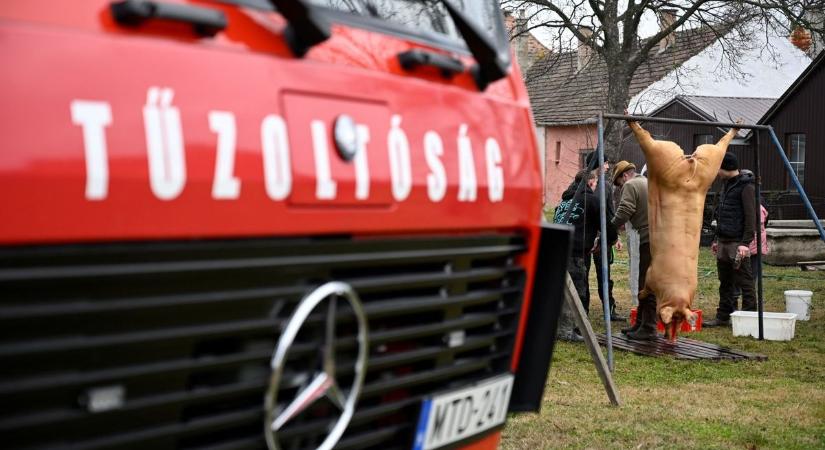 Tűzoltók vágtak disznót, közben riasztás is jött Rajkán - fotók, videó