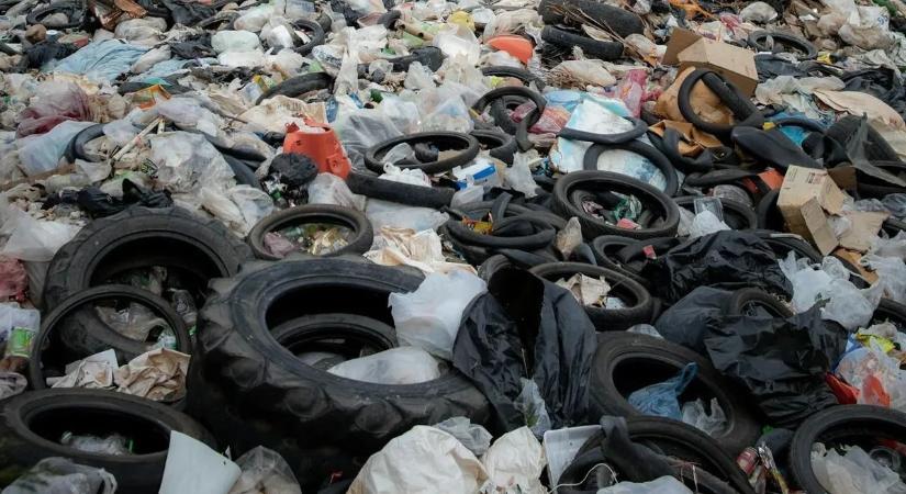 Valódi horror: ezeket a sokkoló dolgokat találták a kukákban Magyarországon