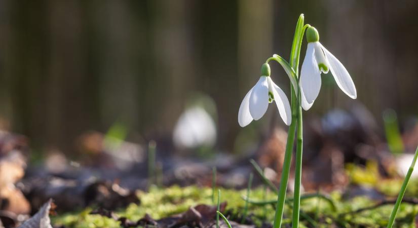 Vasárnap már barátságosabb arcát mutatja az időjárás