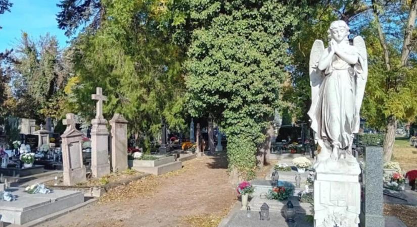 Elutasítja az őket ért vádakat a komáromi római katolikus temető volt üzemeltetője