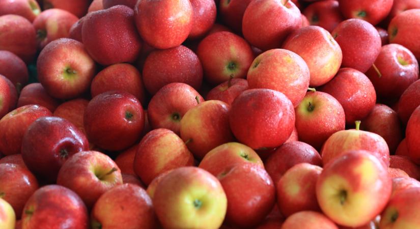 Valami nem jó a belgáknál: egyre kevesebbet esznek ebből a gyümölcsből