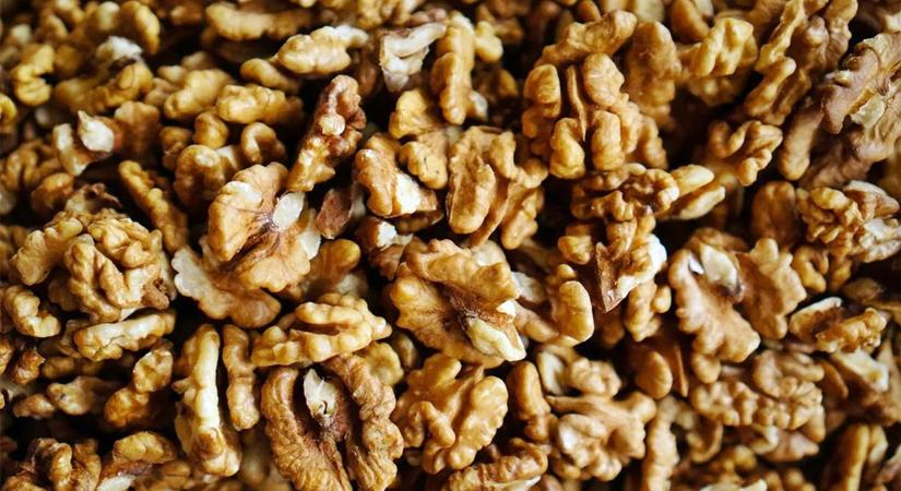 Brutális mértékű a károkozás a zalai kertekben! Van ellenszer?