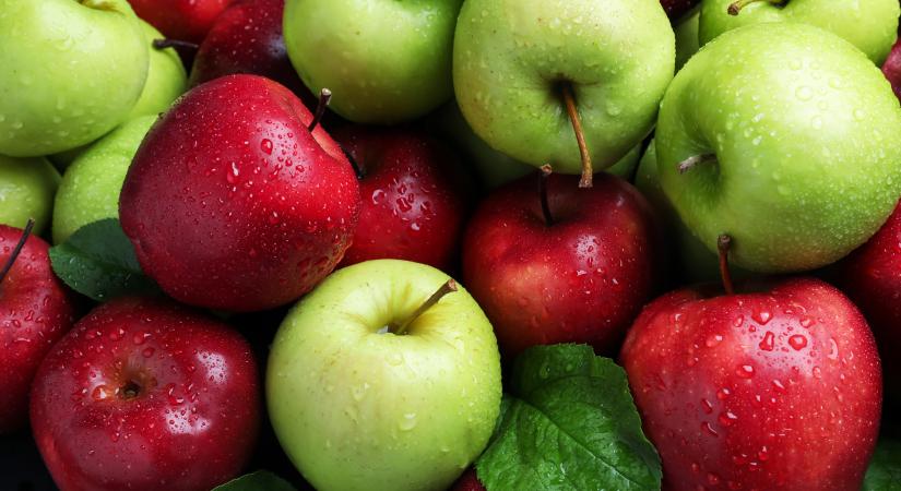 Nébih közlemény: kiderült, hogy mérgező vagy sem a magyar alma