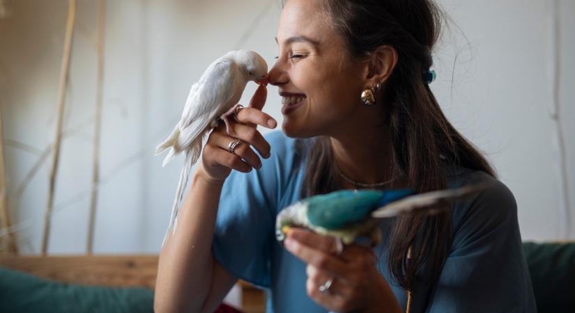 Napi horoszkóp 2026. február 8: ma mintha tesztelnék a türelmünket…