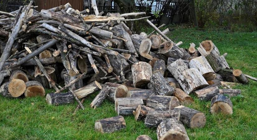 Ingyenes tűzifa igényfelmérés Győrben