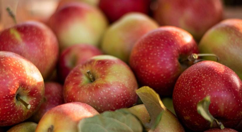 Valóban mérgező a magyar alma? A szakértő válaszol