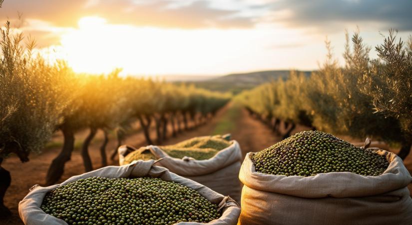 Ítéletidő Európában: katasztrófáról beszélnek a gazdák