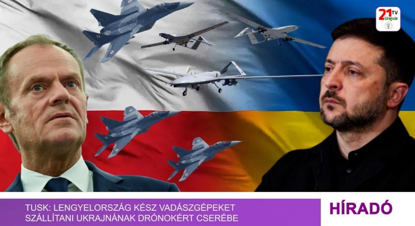 Híradó (2026.02.07) Esti hírek (videó)