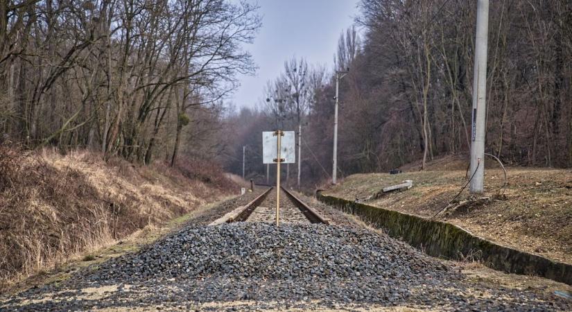 Hosszú várakozás után elindult a régóta lezárt vasúti szakasz felújítása