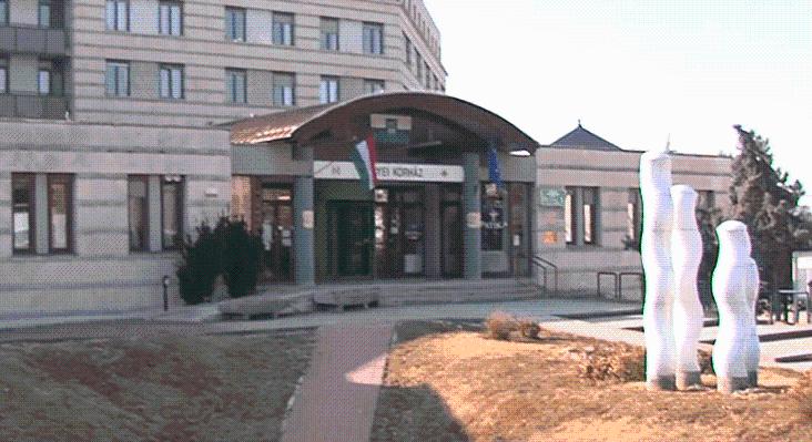 Belső vizsgálat indult a veszprémi kórházban, miután nyílt töréssel hazaküldtek egy MKKP-s aktivistát