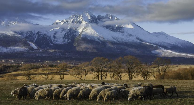 Lavina sodort el két magyart a Magas-Tátrában