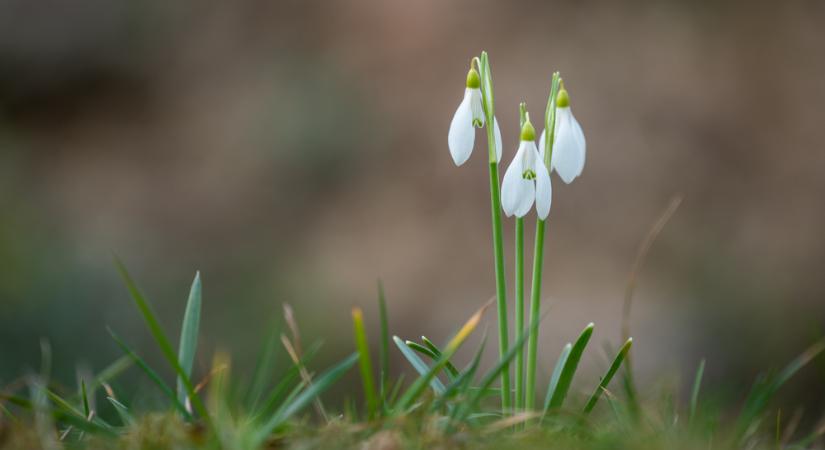 Közel tíz fokot is mutathatnak a hőmérők