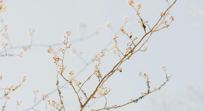 Időjárás 2026. február 8.: Ma még enyhe az idő, de kisebb hidegfront közelít