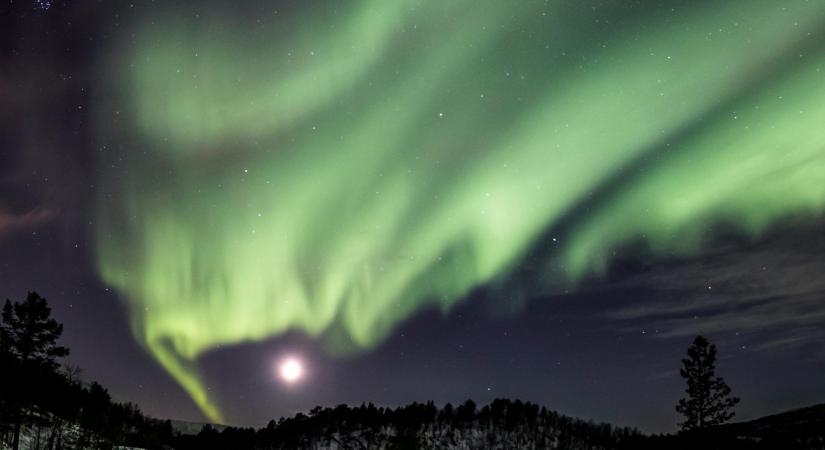 3 csillagjegy, akit az univerzum homlokon csókol február 8-án és az életében minden a helyére kerül