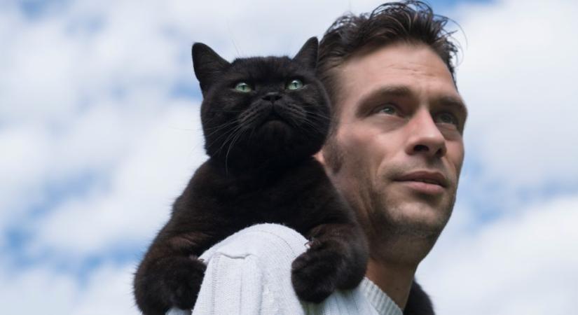 Miért szeretnek egyes macskák a gazdi vállára ugrani?