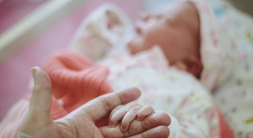 Búcsúzik Abélia, Sztilla, Martinka, Magdó és még több mint száz keresztnév: így folytatódhat a felülvizsgálat a nyelvészek javaslatára