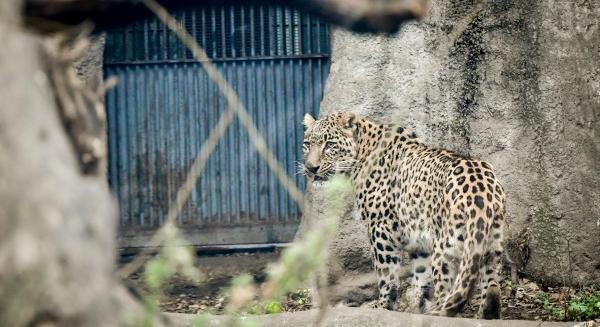 Búcsúzik egy sikerműsor a TV2-ről
