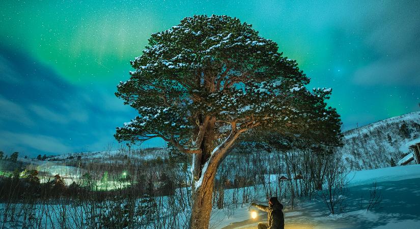 Fény a sötétségben – A skandinávok titkai, amelyek segíthetnek átvészelni a telet