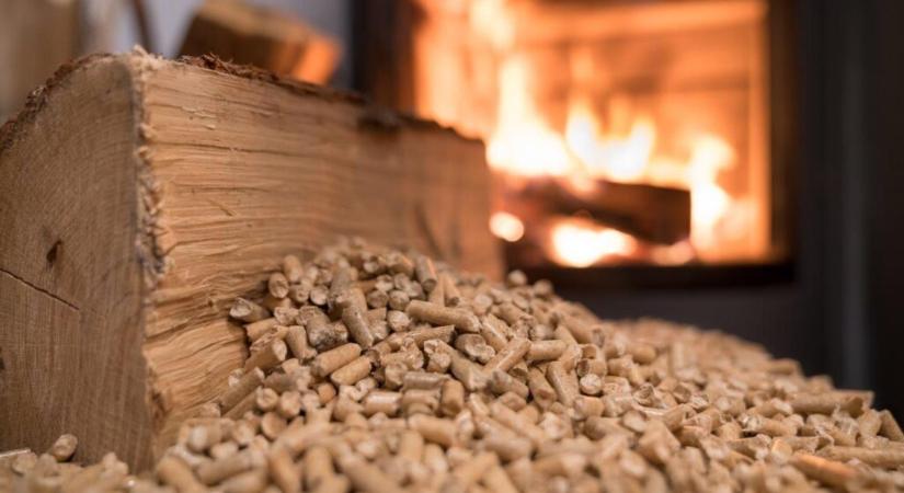 Érett fákat vágnak ki a pellet gyártásához